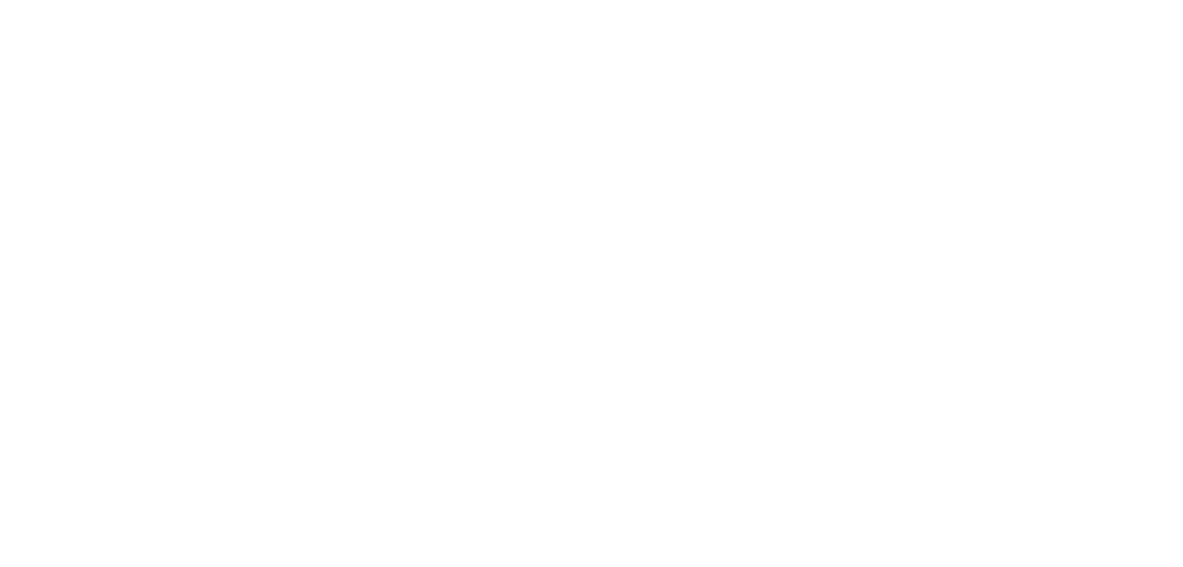 wandering earth logo